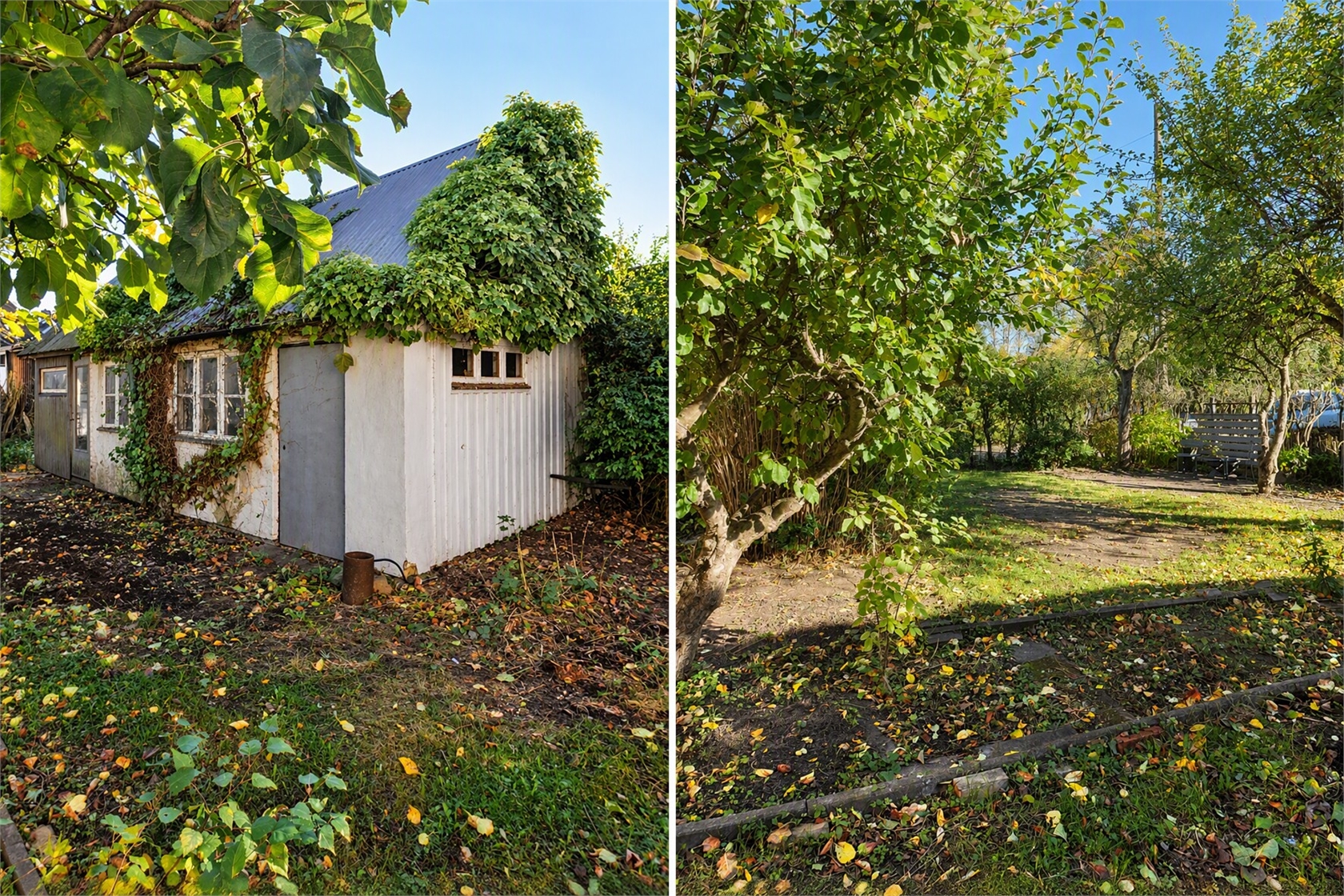 sön 1/11 – bild 35