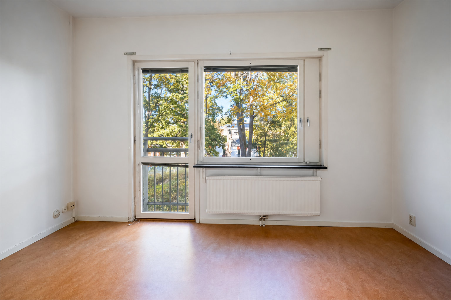 sön 1/11 – bild 4