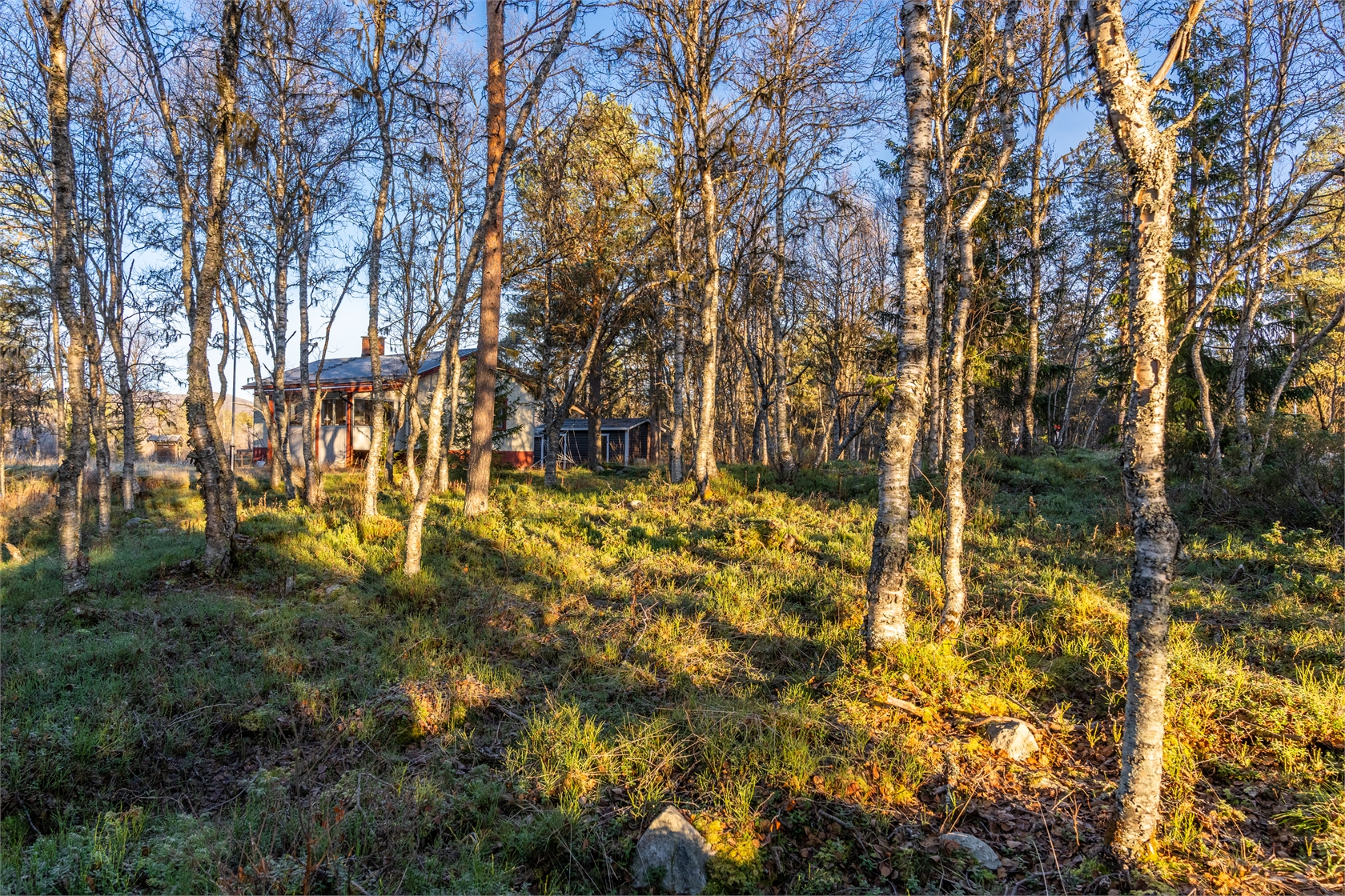 Se fler – bild 3