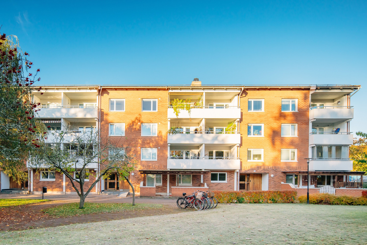 tors 5/11 – bild 12