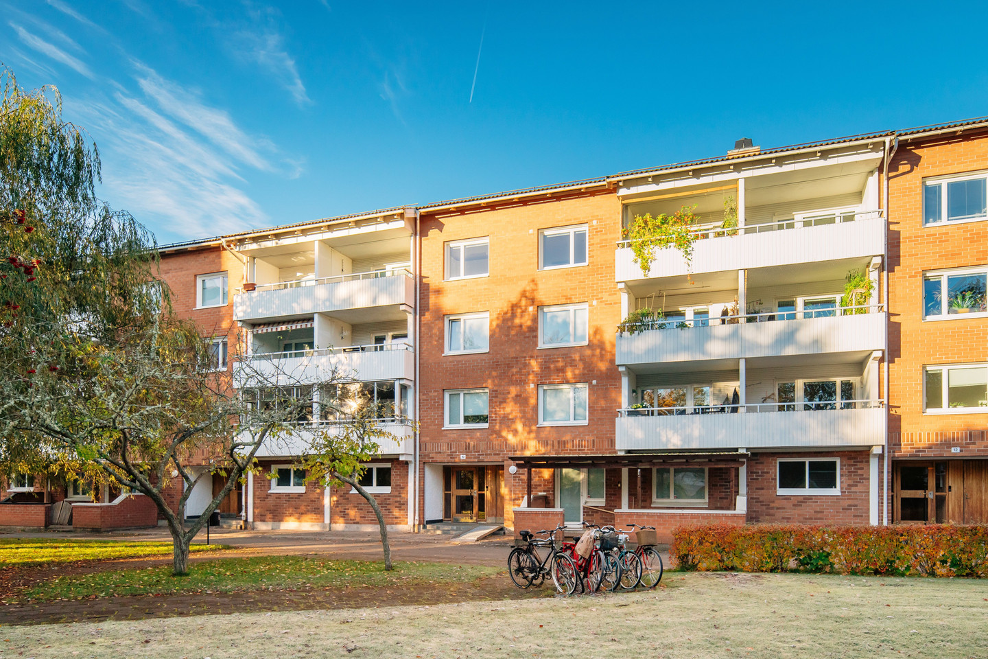tors 5/11 – bild 15