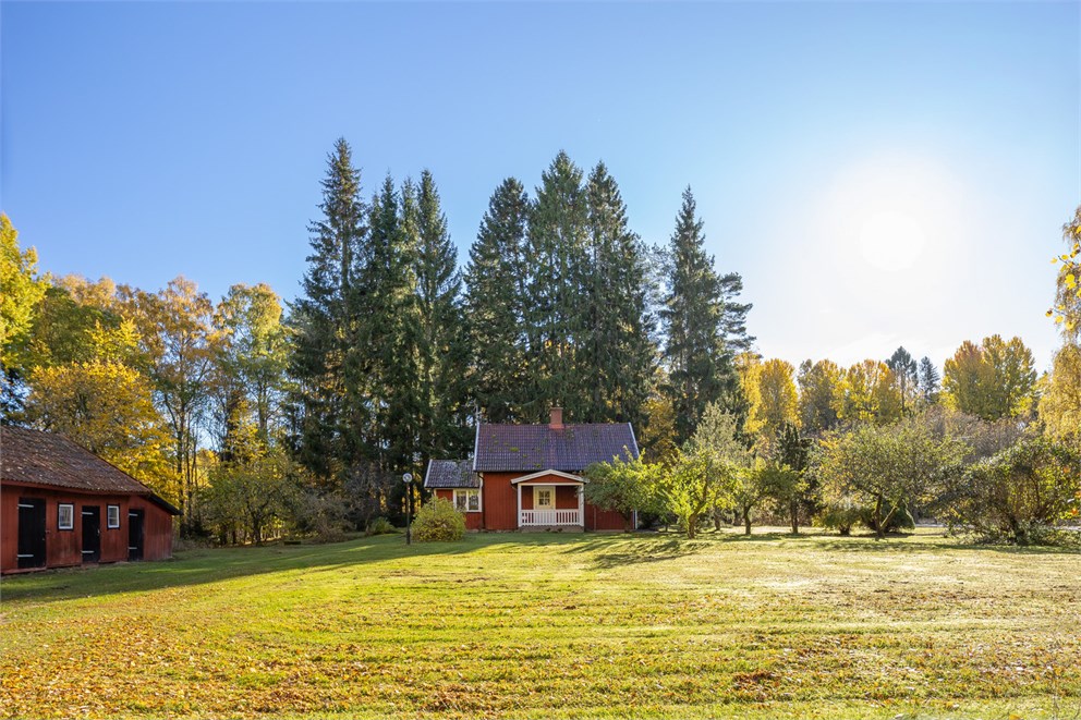 Sävare Skogsbrynet 1