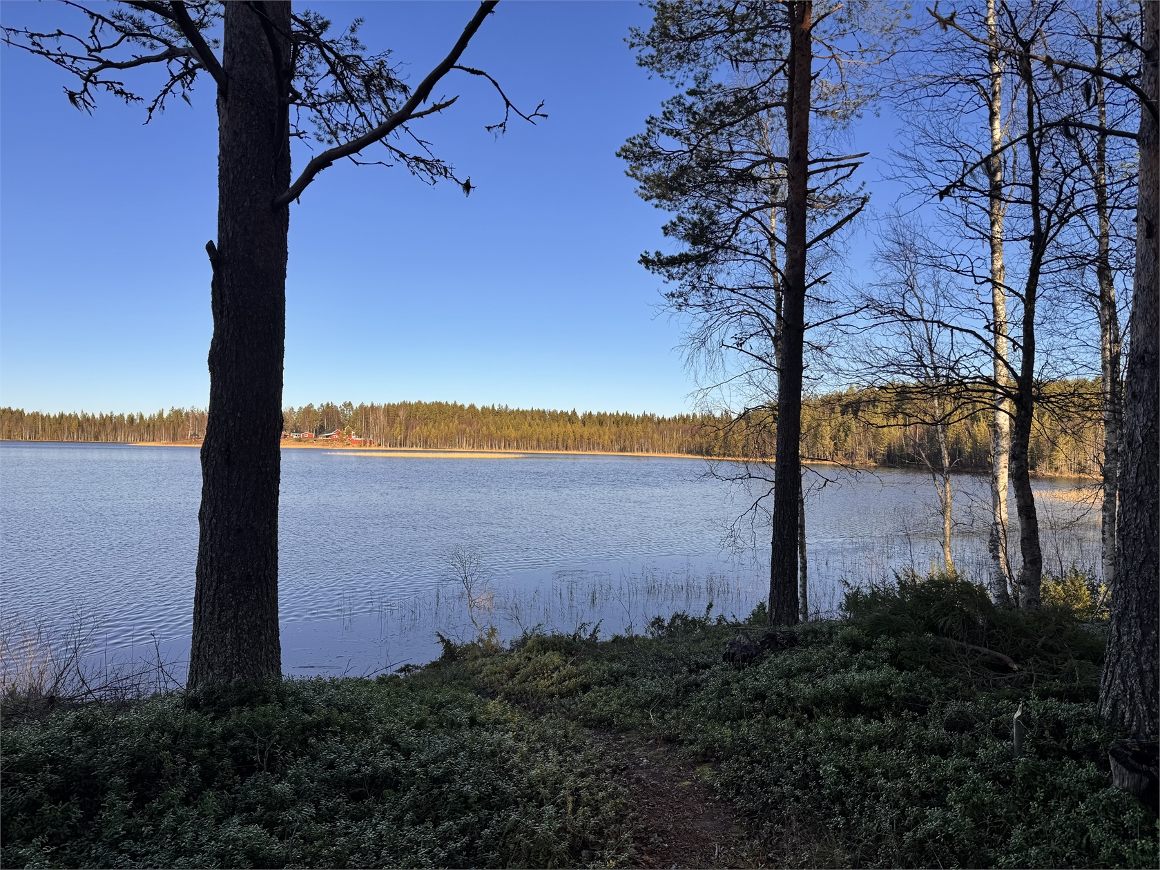 mån 2/11 – bild 23