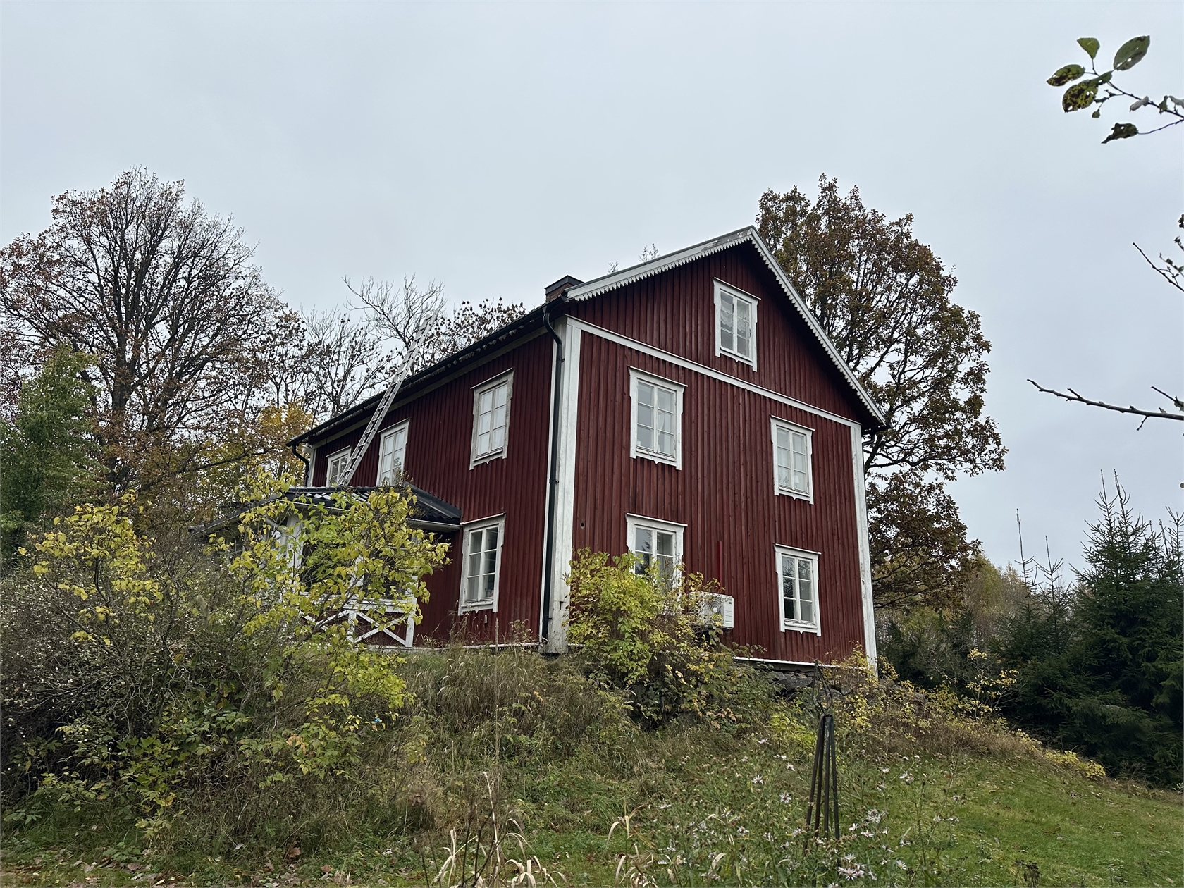 lör 14/11 – bild 2