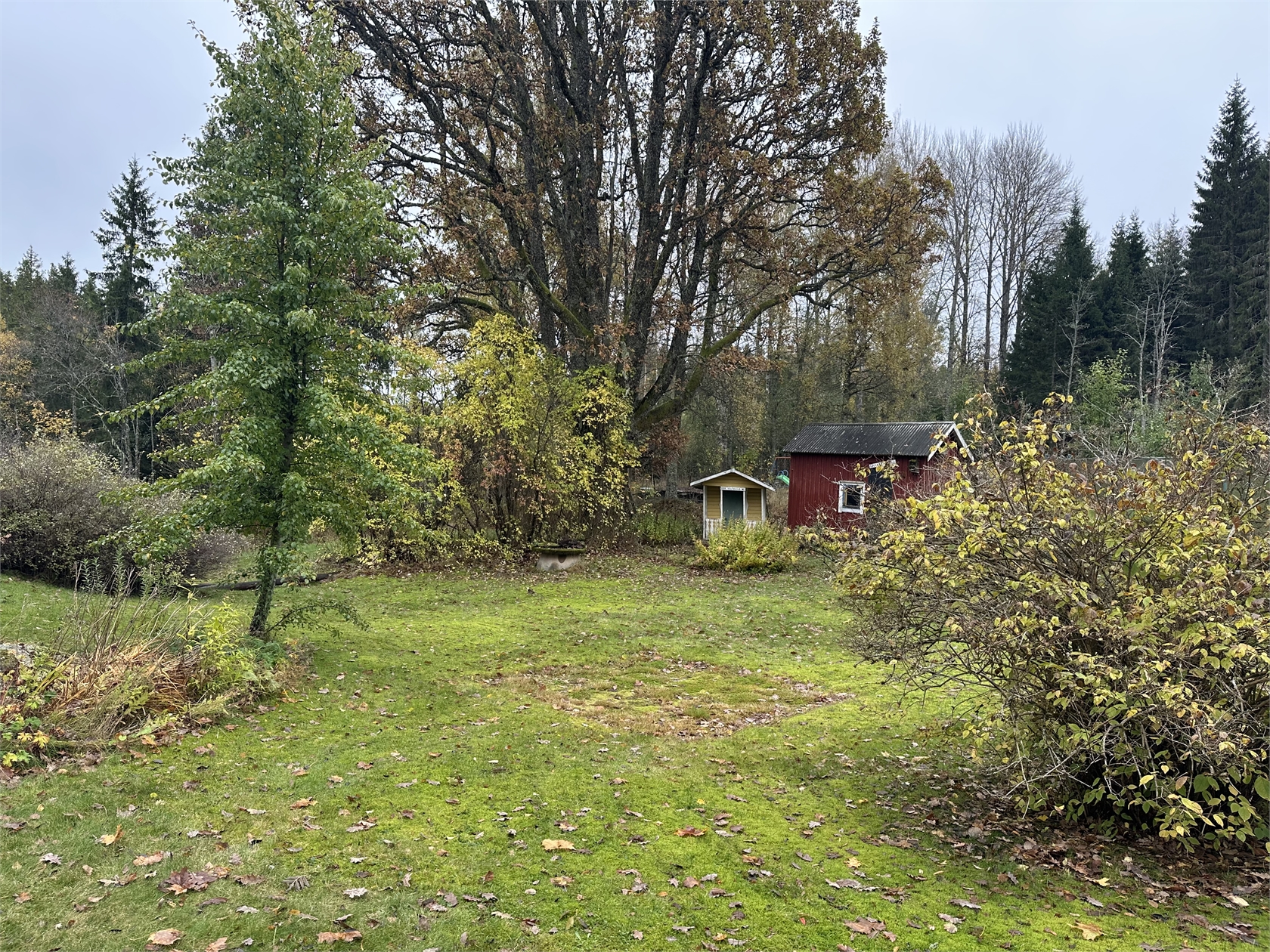 lör 14/11 – bild 35