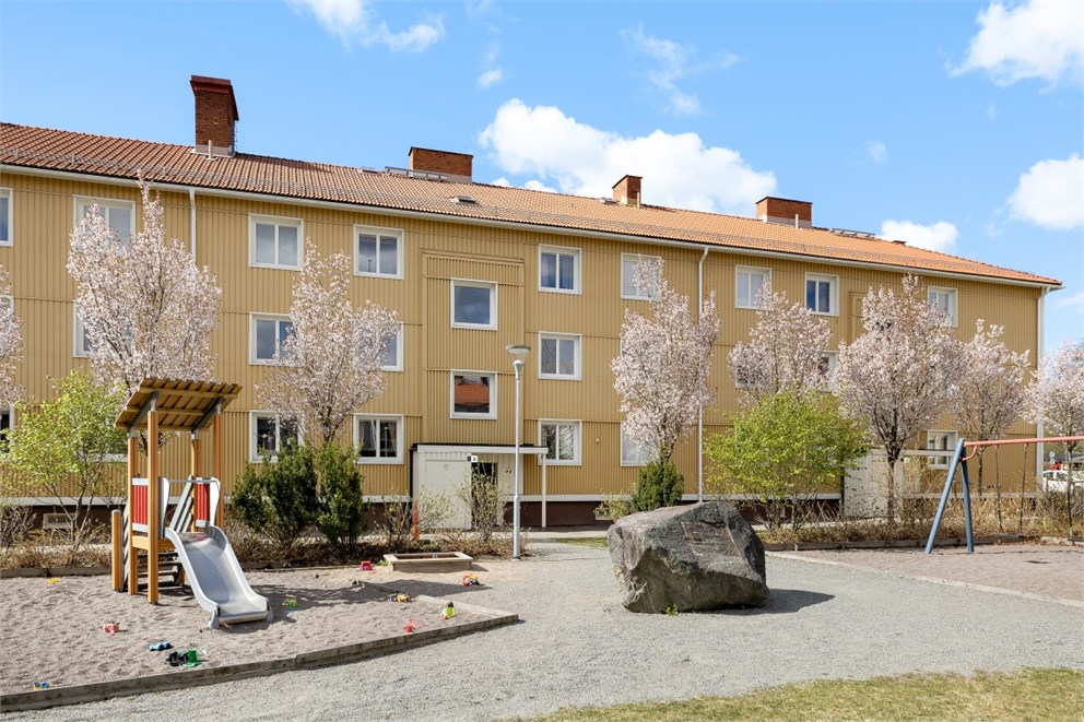 Föreningens gemensamma utrymme.