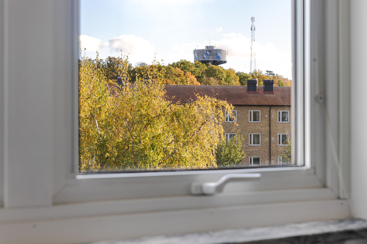 tors 29/10 – bild 13