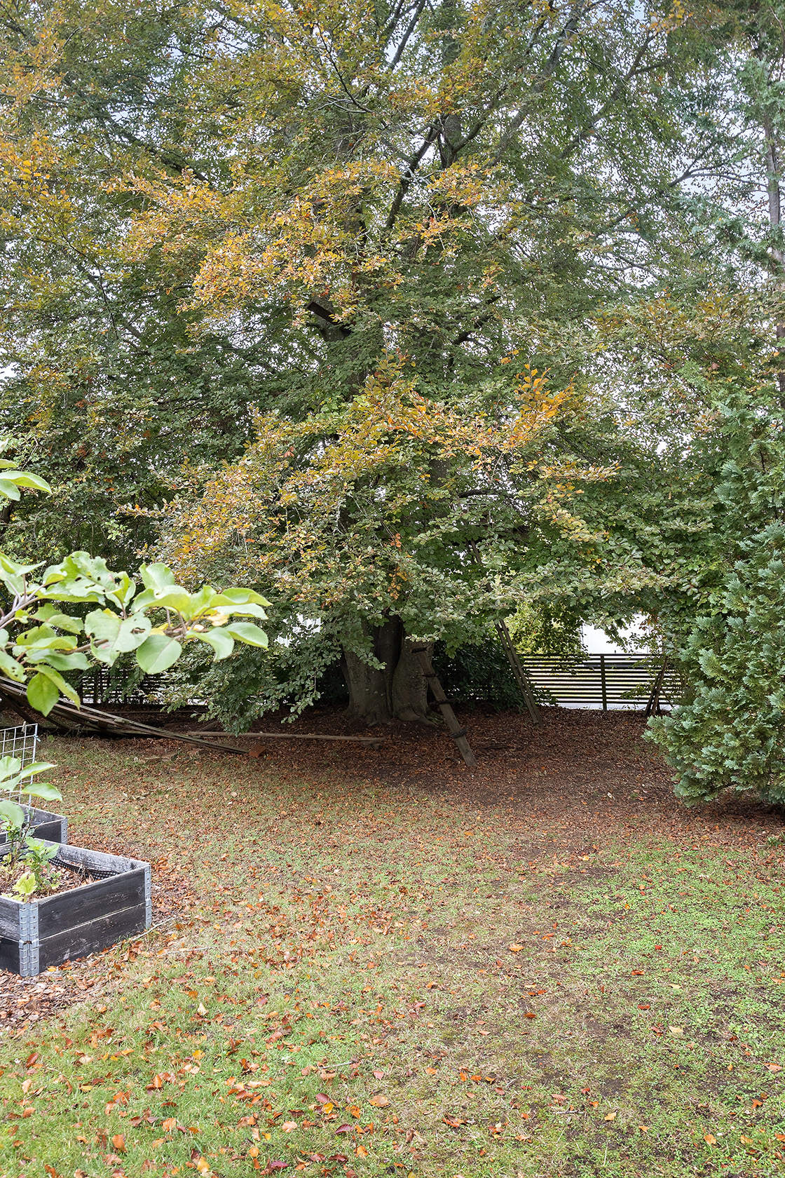 tis 27/10 – bild 16
