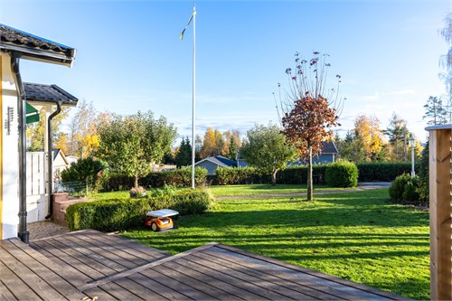 Altan och trädgård