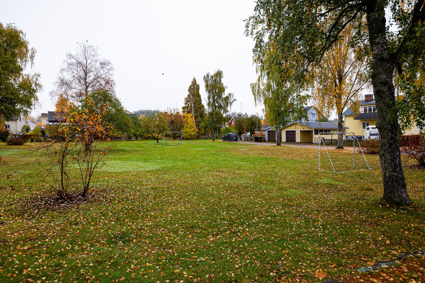 mån 2/11 – bild 53