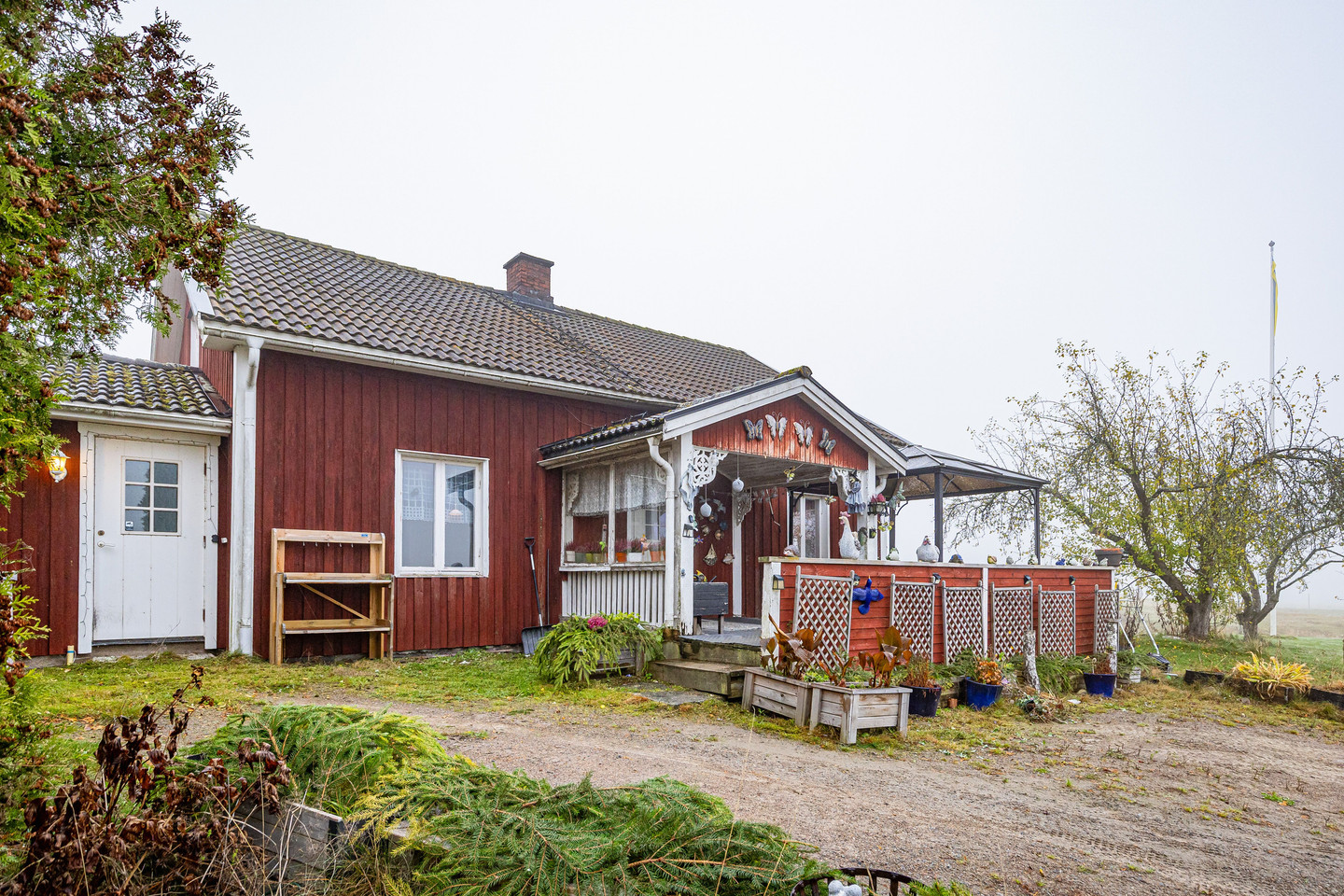 sön 8/11 – bild 34