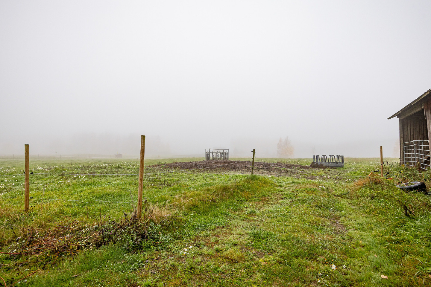 sön 8/11 – bild 39