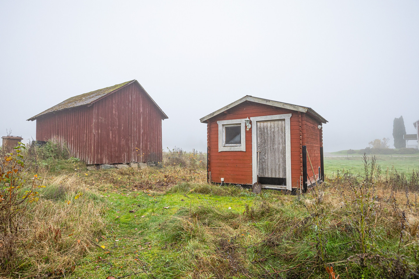 sön 8/11 – bild 41