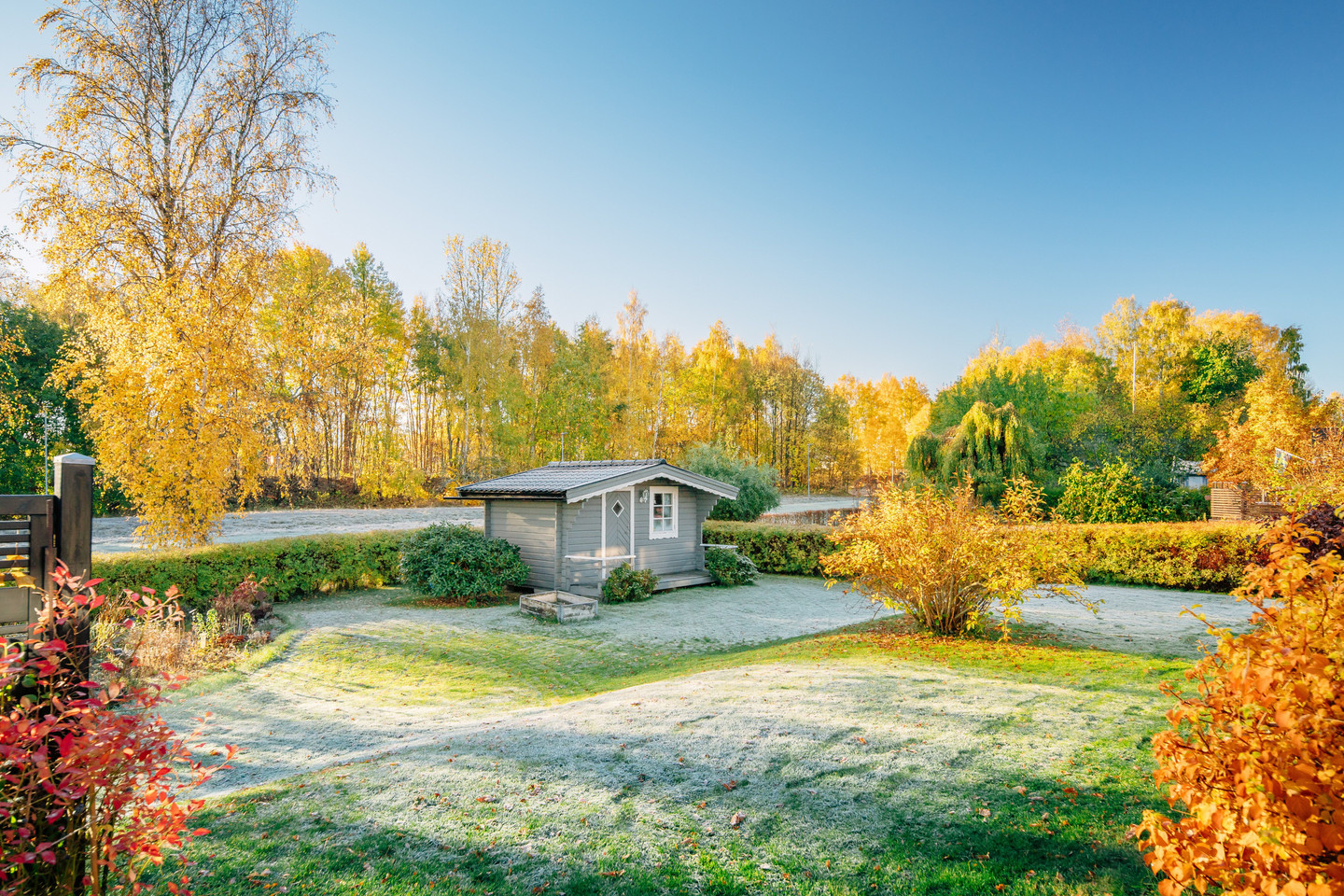tis 3/11 – bild 3