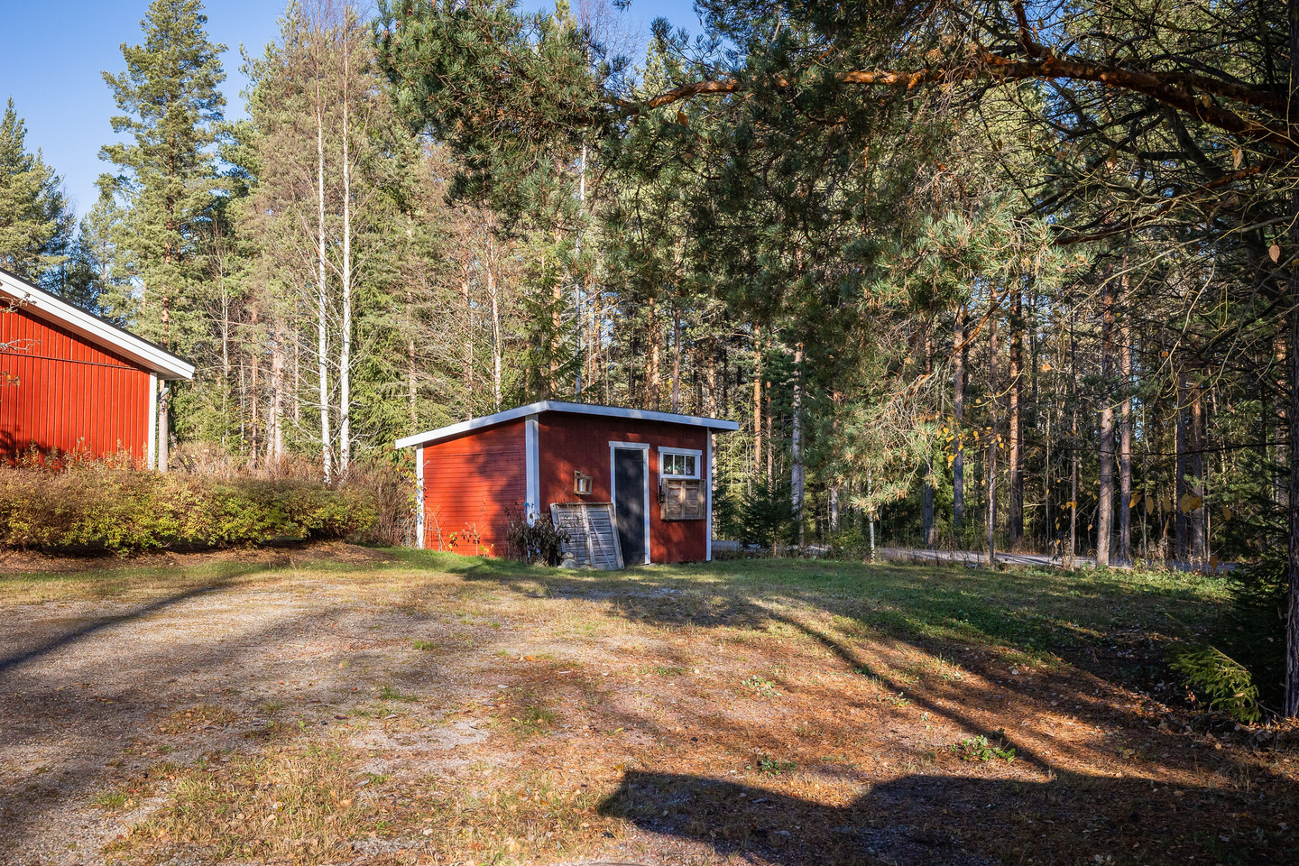 tors 12/11 – bild 23