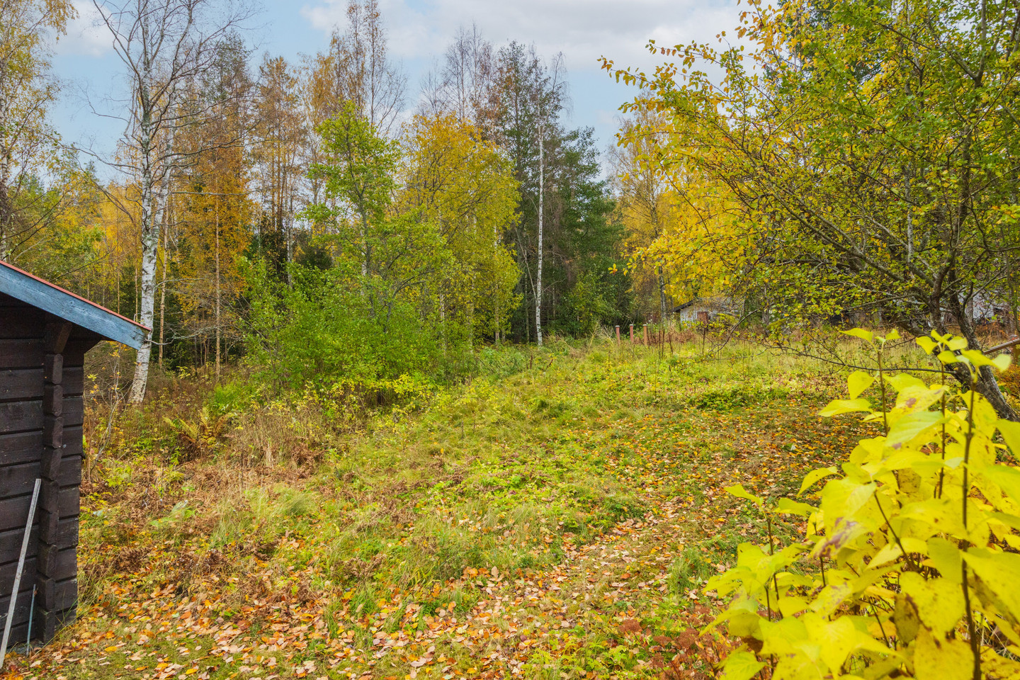 mån 2/11 – bild 28