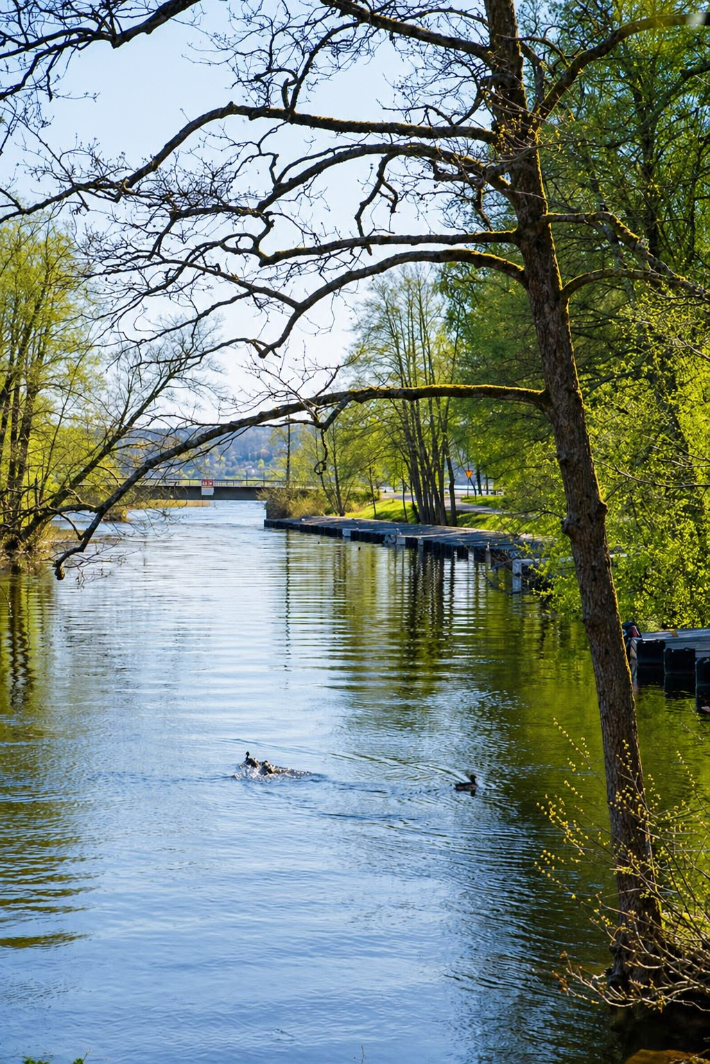 sön 1/11 – bild 24