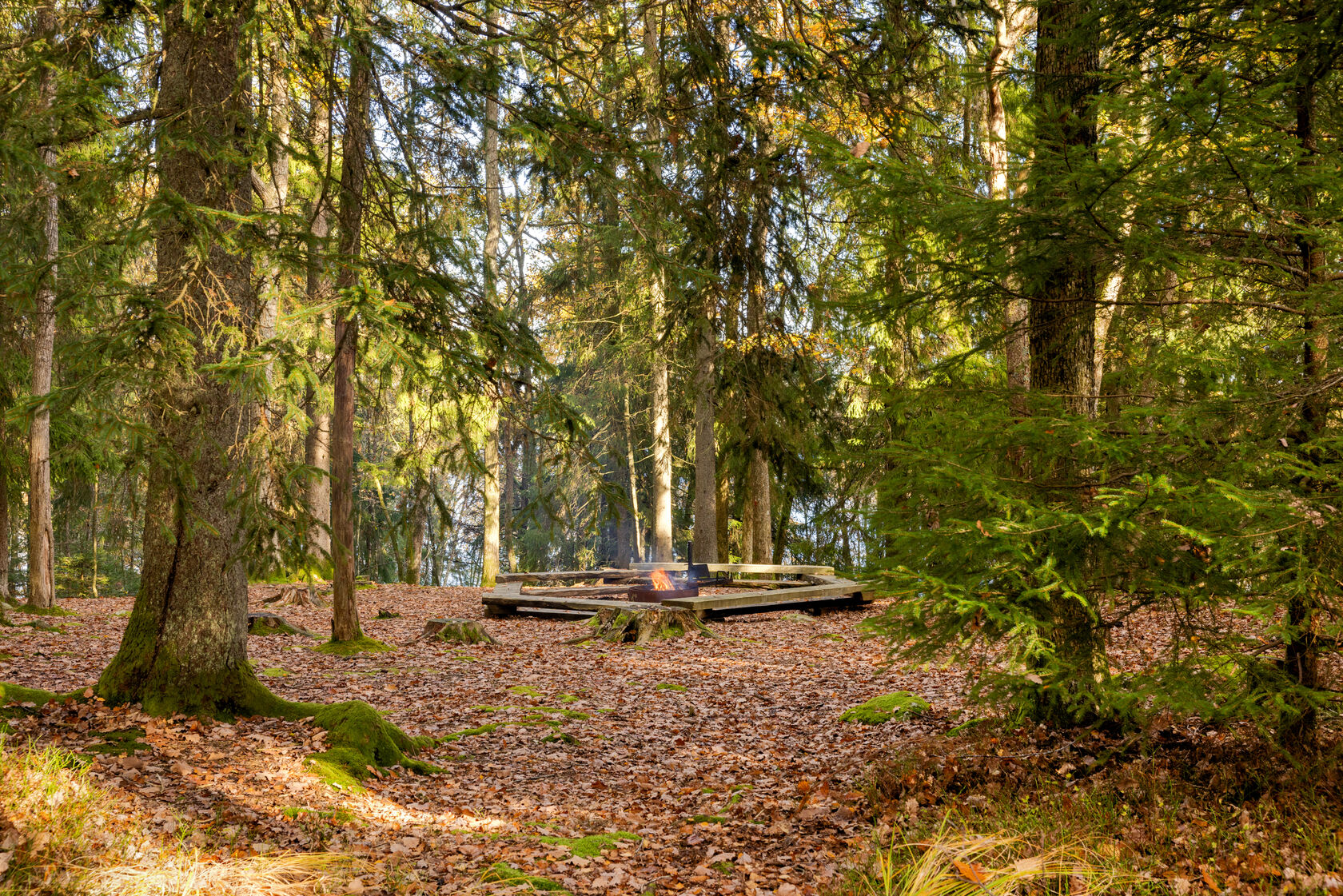 tors 5/11 – bild 15