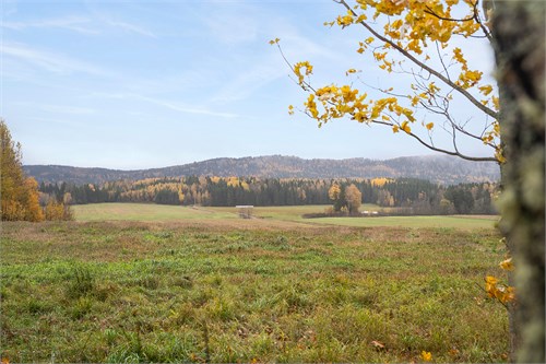 Högberg 15