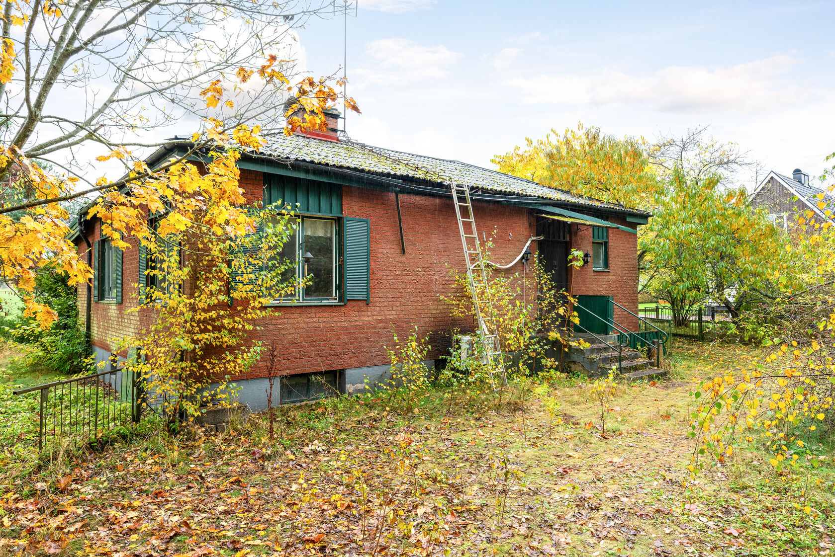 tors 5/11 – bild 15