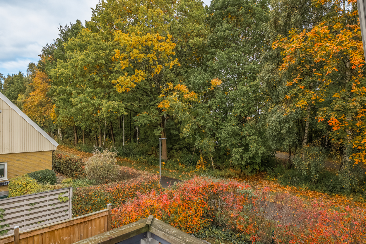 sön 1/11 – bild 44