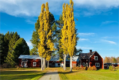 Gärdesvägen 27