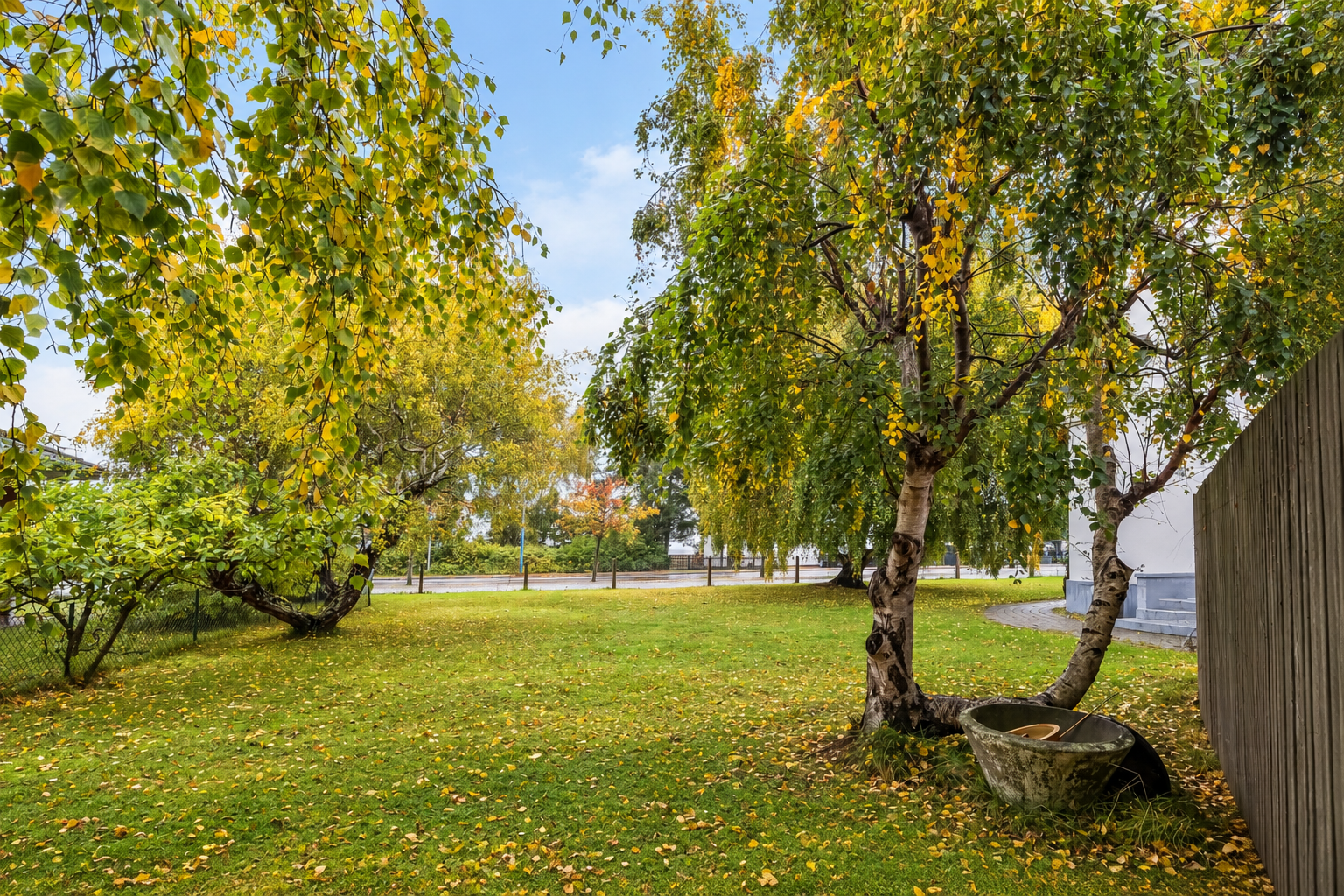 sön 8/11 – bild 37