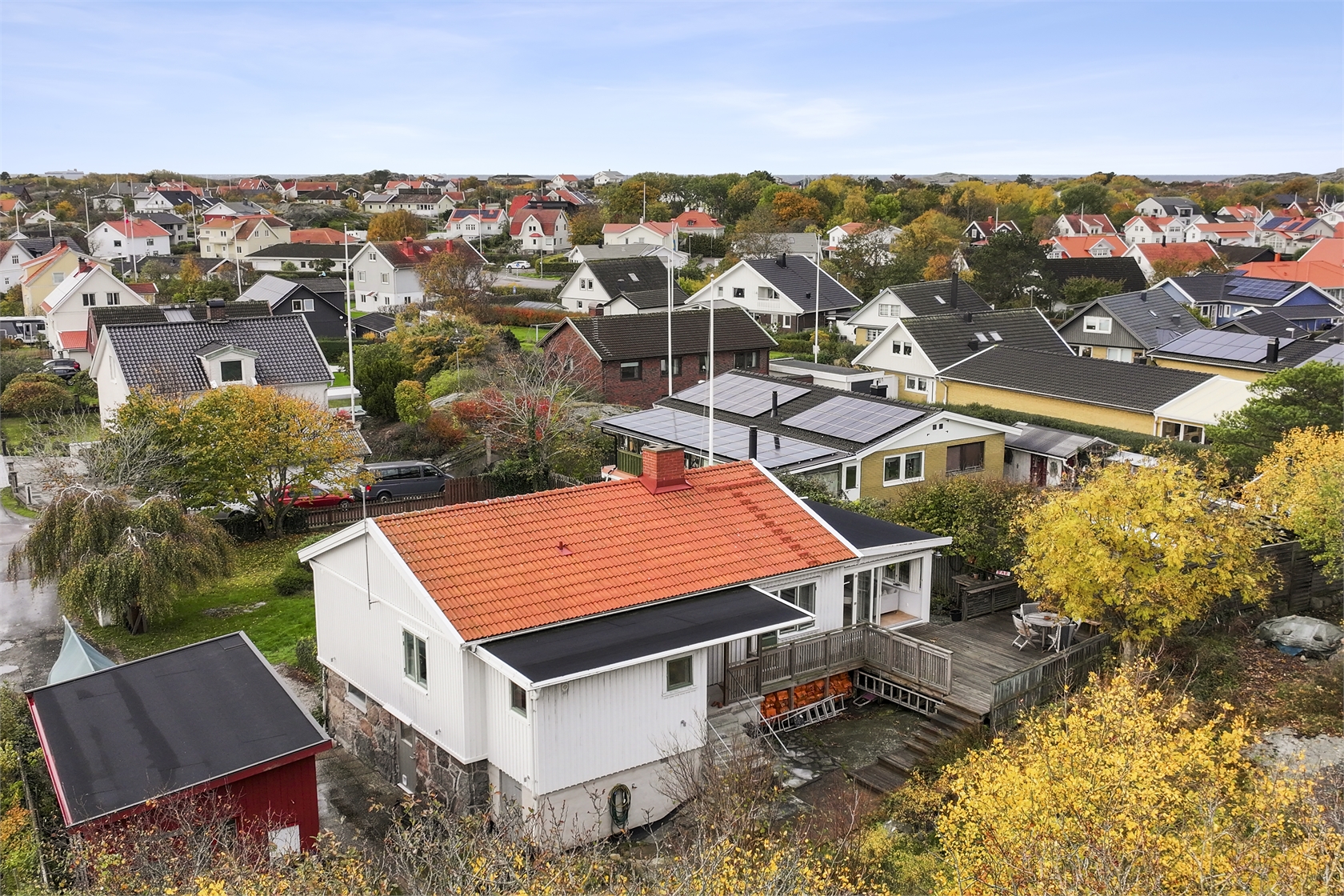 sön 15/11 – bild 41
