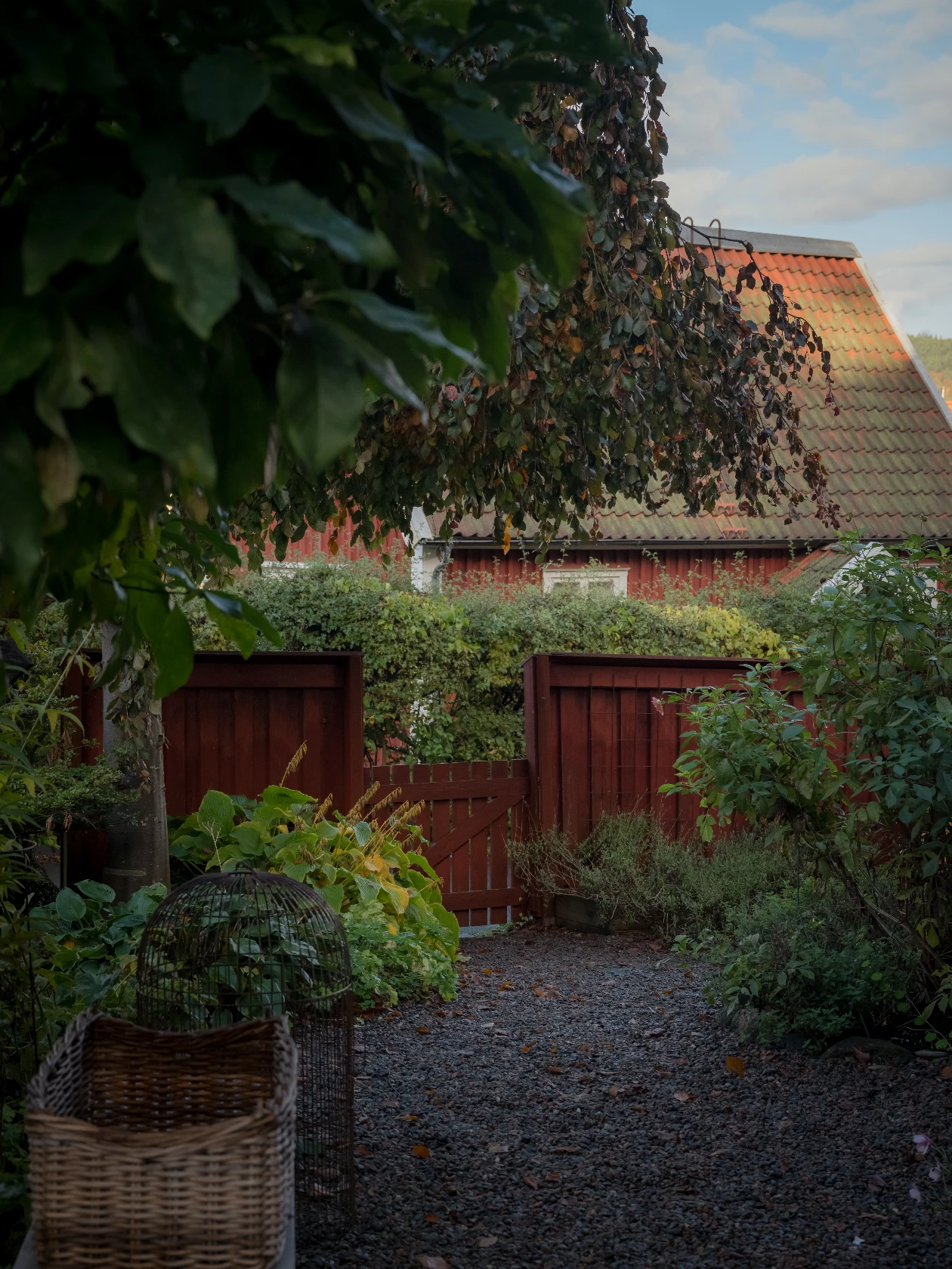 lör 7/11 – bild 78