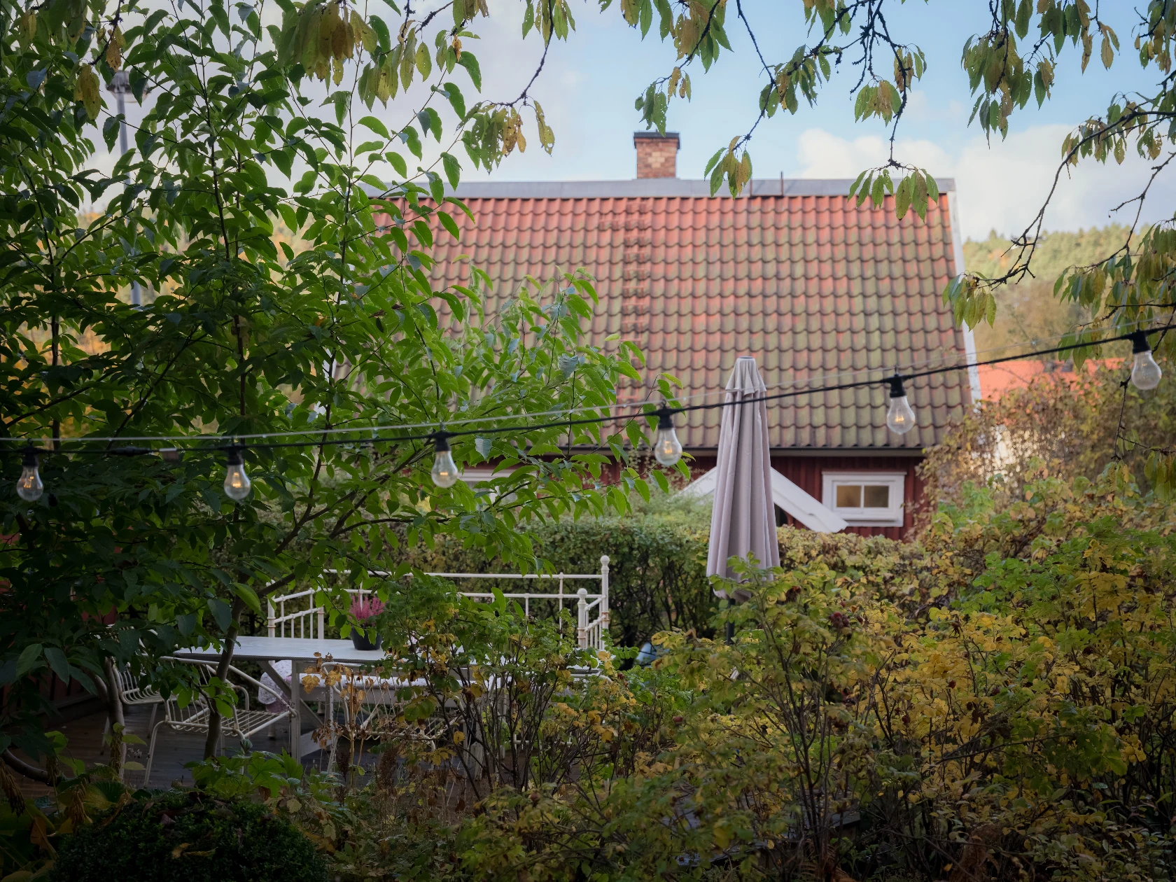 lör 7/11 – bild 71