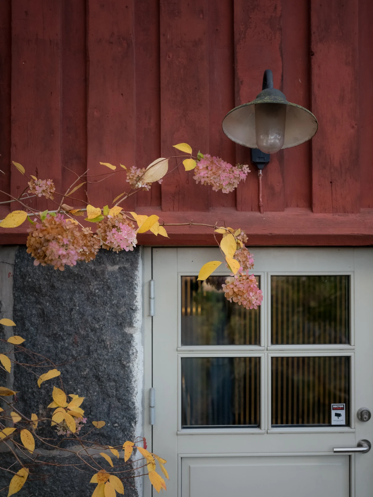 lör 7/11 – bild 77