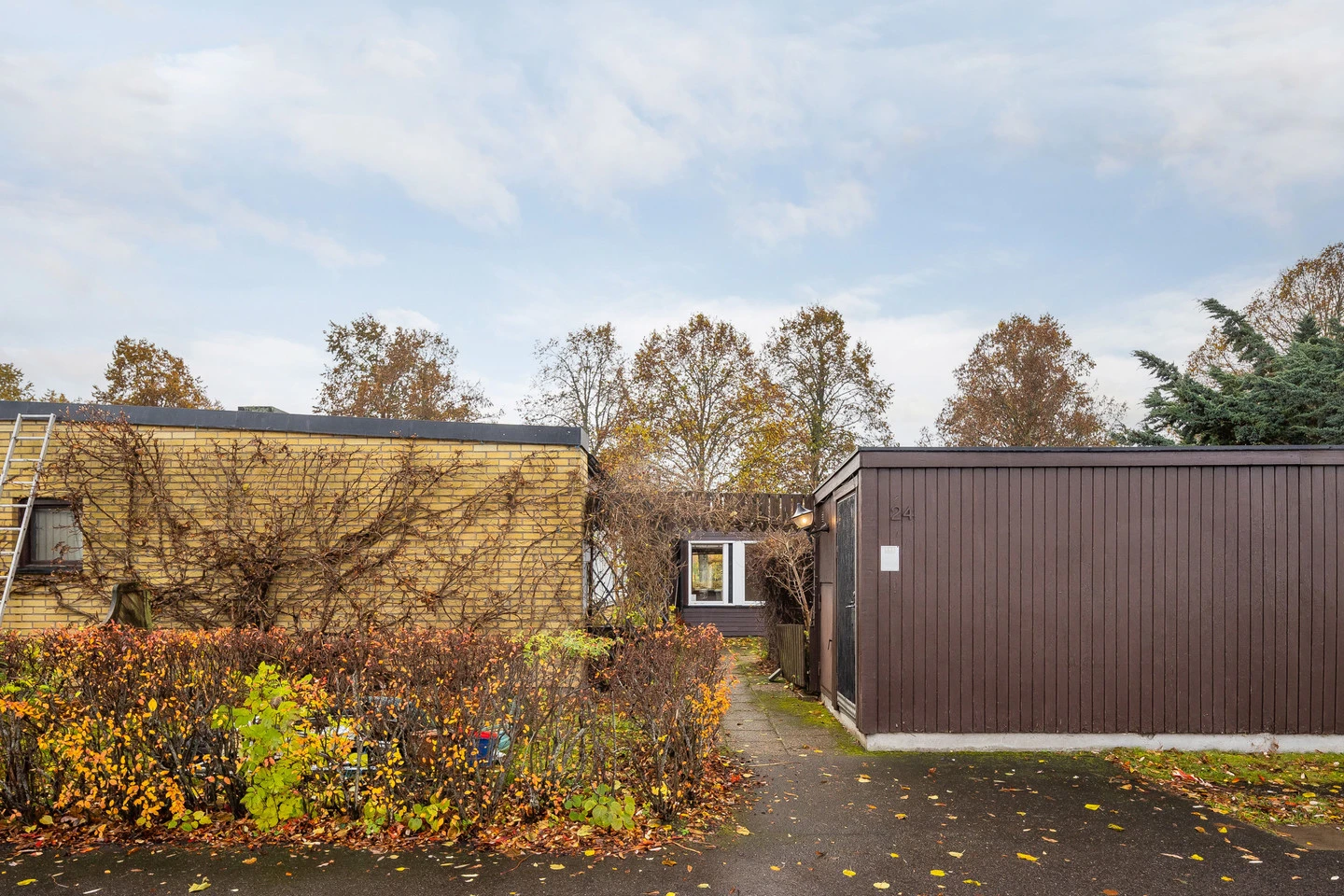 fre 6/11 – bild 2