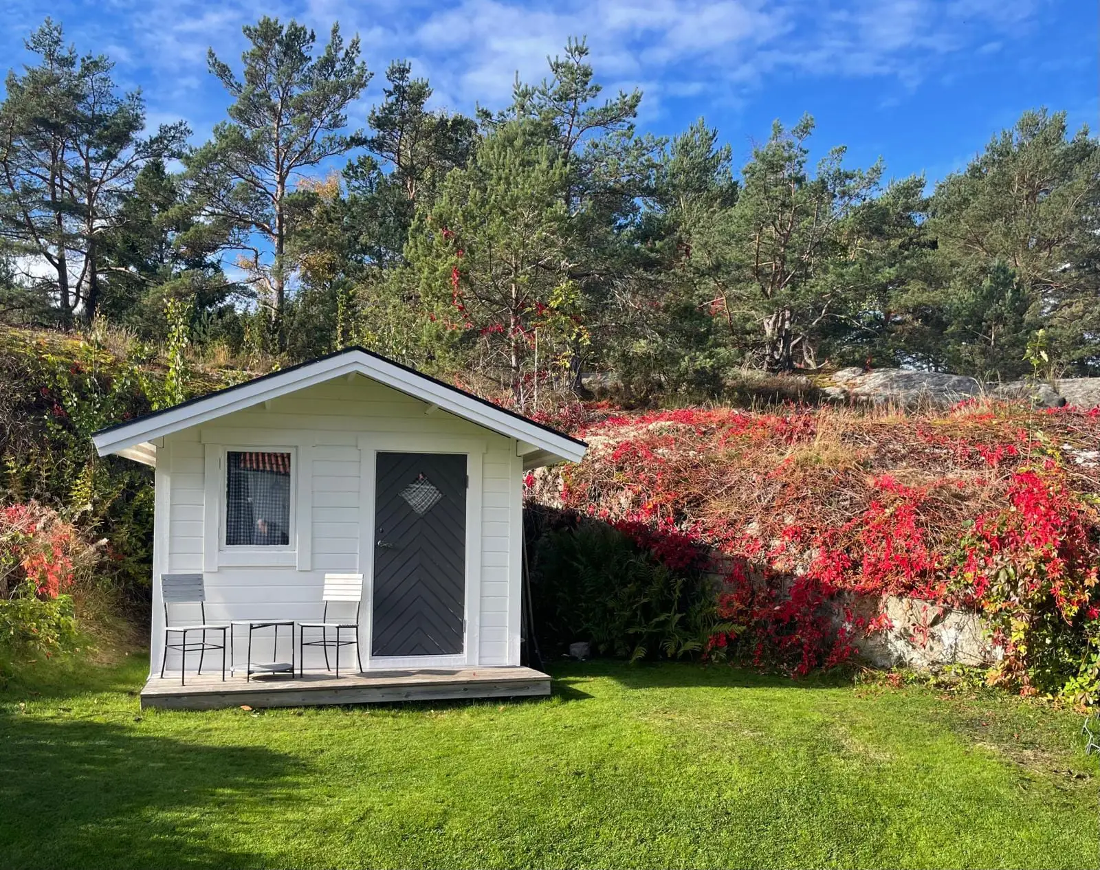 Se fler – bild 48