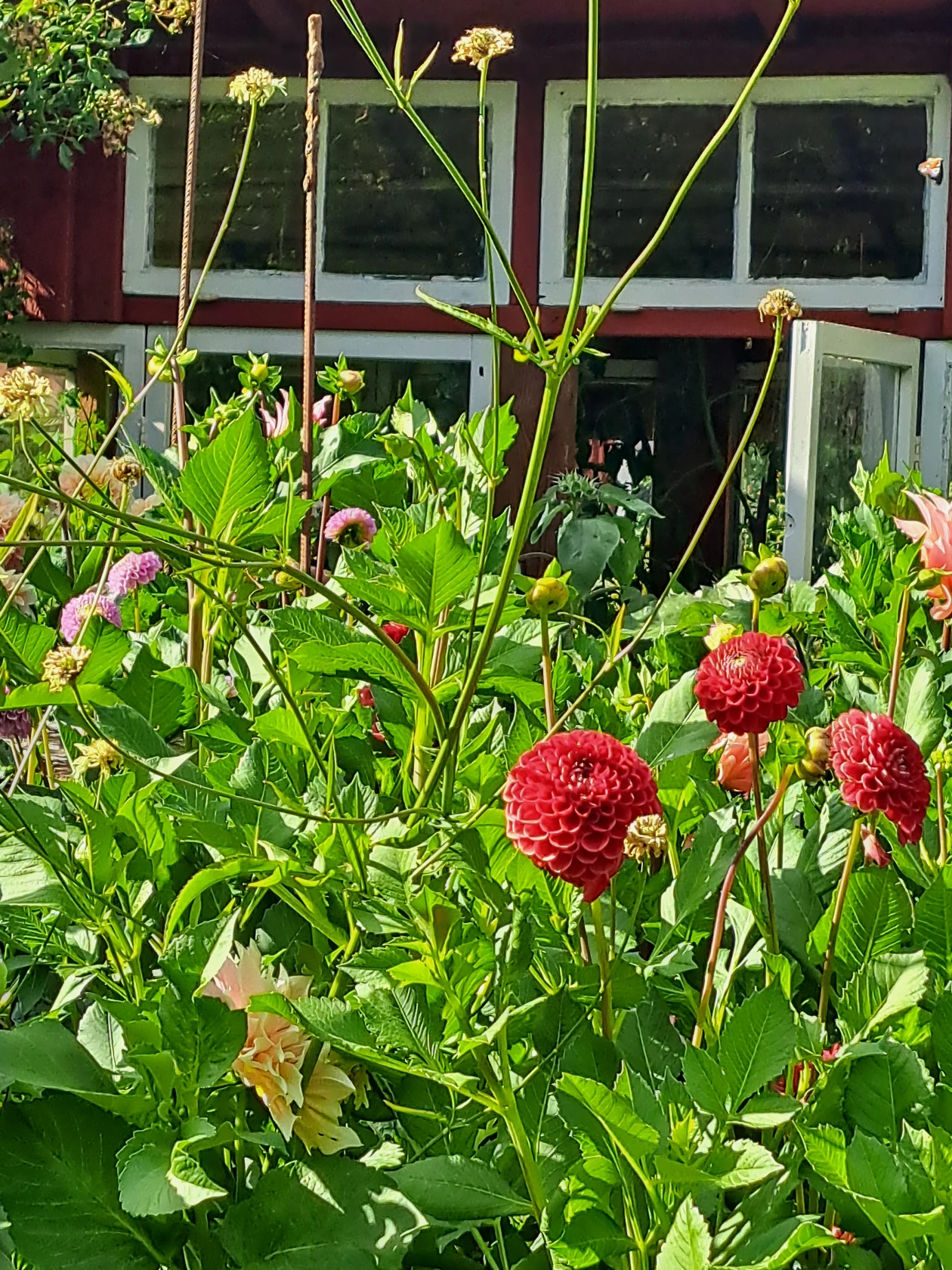 lör 7/11 – bild 89