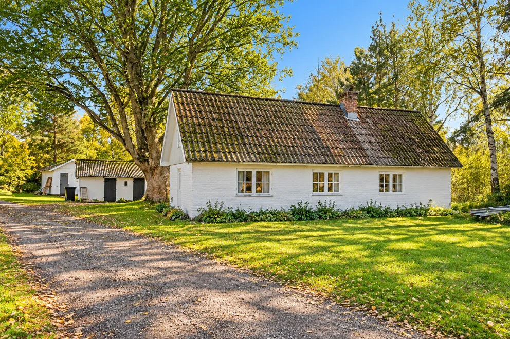 Skingeröd 515