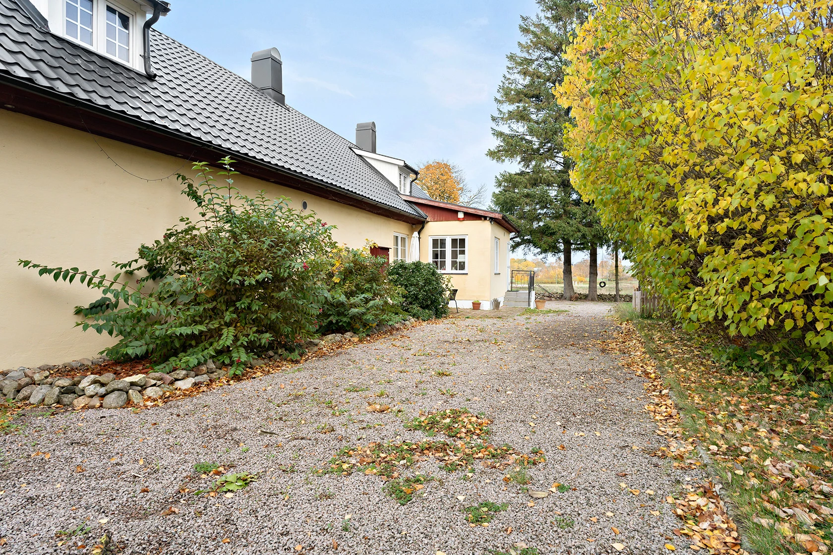 sön 8/11 – bild 6