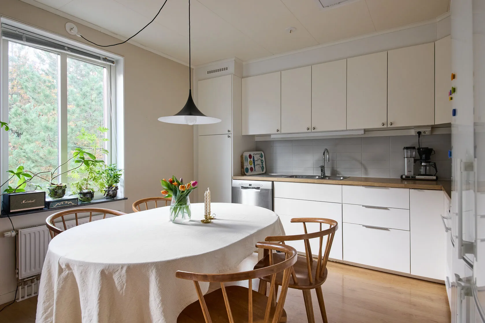 tis 3/11 – bild 9