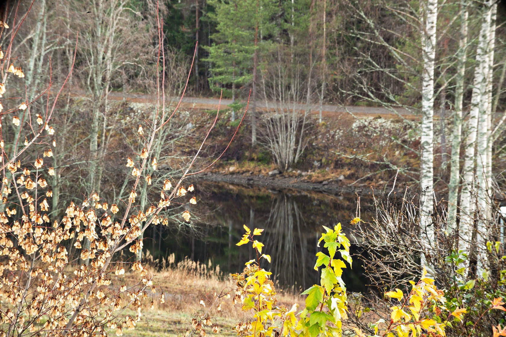 Bild 3 från Fastighetsbyrån
